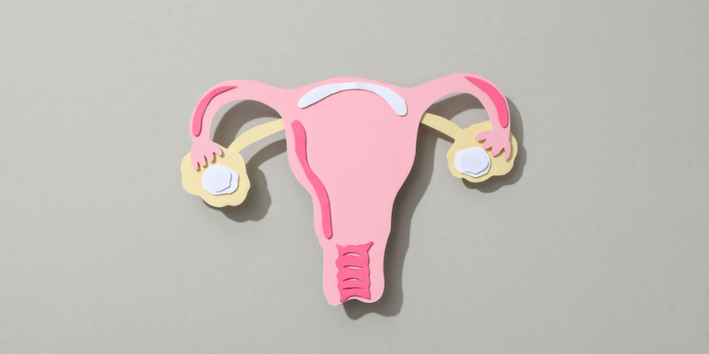 uterus transplant